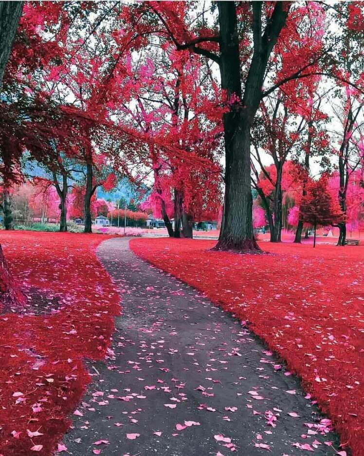 ویتامینه 3 مختص نوجوانان 